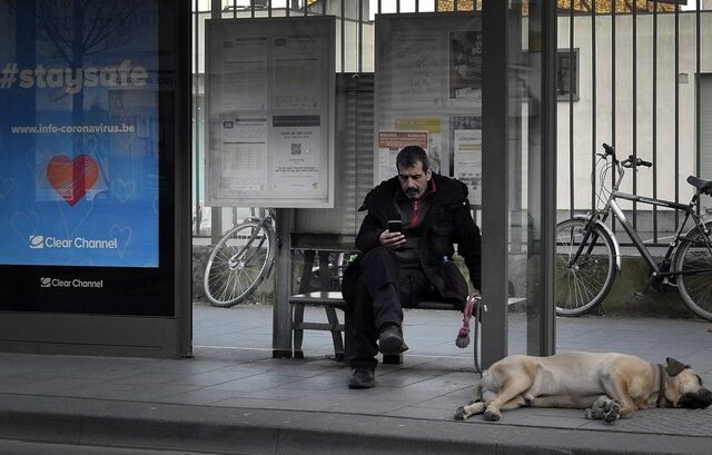 Κορονοϊός: Αυξήθηκαν οι υιοθεσίες κατοικιδίων στο Βέλγιο