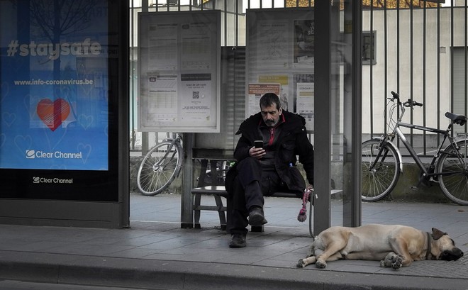 Κορονοϊός: Αυξήθηκαν οι υιοθεσίες κατοικιδίων στο Βέλγιο