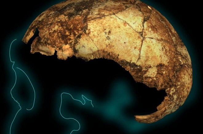 Νότια Αφρική: Ανακαλύφθηκε το αρχαιότερο κρανίο “Όρθιου Ανθρώπου” στον κόσμο