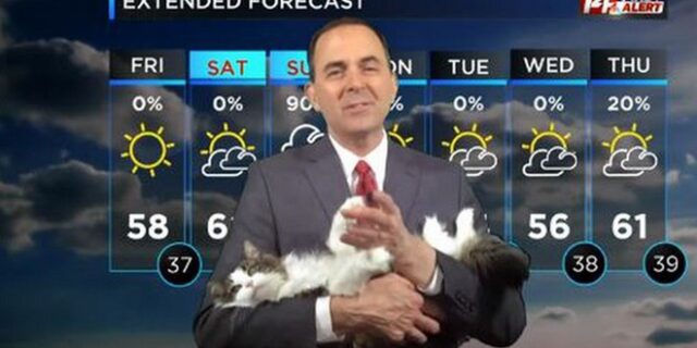 Μετεωρολόγος προβλέπει τον καιρό αγκαλιά με τη γάτα του