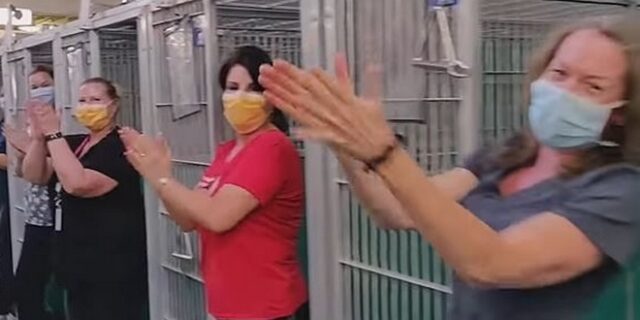 ΗΠΑ: Υιοθετήθηκαν όλα τα αδέσποτα απο καταφύγιο ζώων