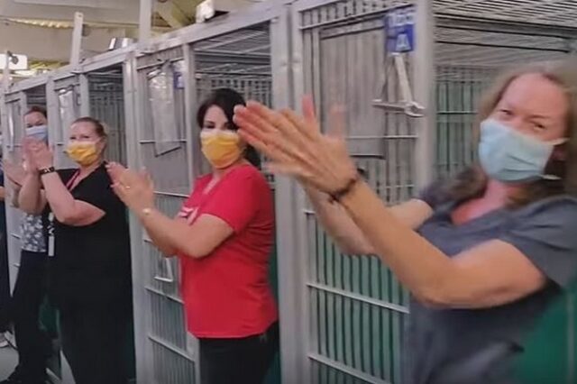 ΗΠΑ: Υιοθετήθηκαν όλα τα αδέσποτα απο καταφύγιο ζώων