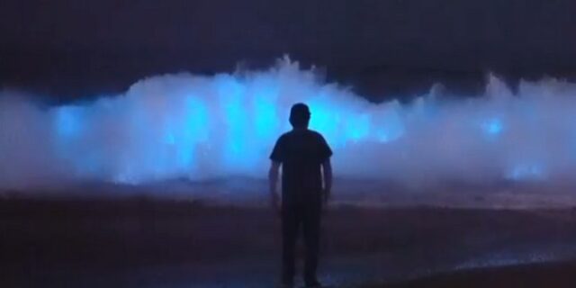 Μαγευτικό θέαμα: Όταν η θάλασσα φωσφορίζει