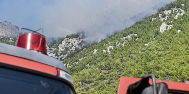 Σε εξέλιξη νέα φωτιά στη Ροδόπη – Οριοθετήθηκε στην Χαλκιδική