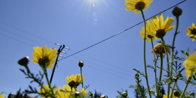 Βελτιωμένος καιρός και μελτέμι στο Αιγαίο 6-7 μποφόρ