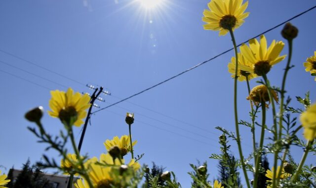 Βελτιωμένος καιρός και μελτέμι στο Αιγαίο 6-7 μποφόρ