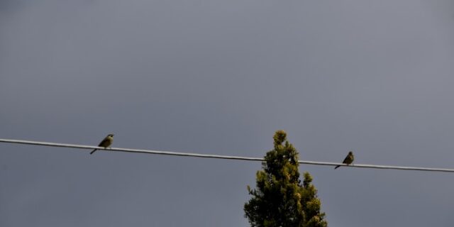 Καιρός: Εξασθενεί η κακοκαιρία