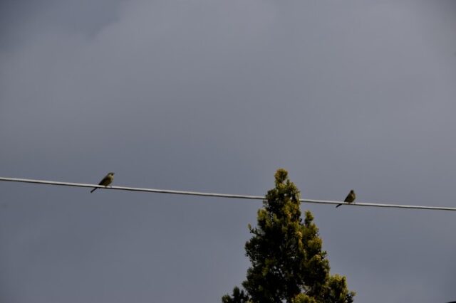 Καιρός: Εξασθενεί η κακοκαιρία