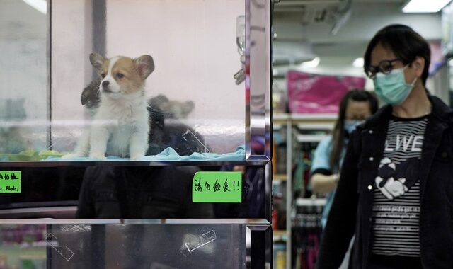 Ιστορική στιγμή στην Κίνα: Στην Σεντσέν απαγορεύτηκε η κατανάλωση κρέατος γάτας και σκύλου