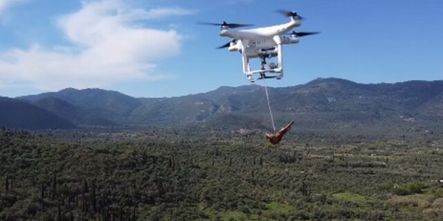 Μεσσηνία: Βρήκε τρόπο να φάει κοψίδια απειλώντας με drone