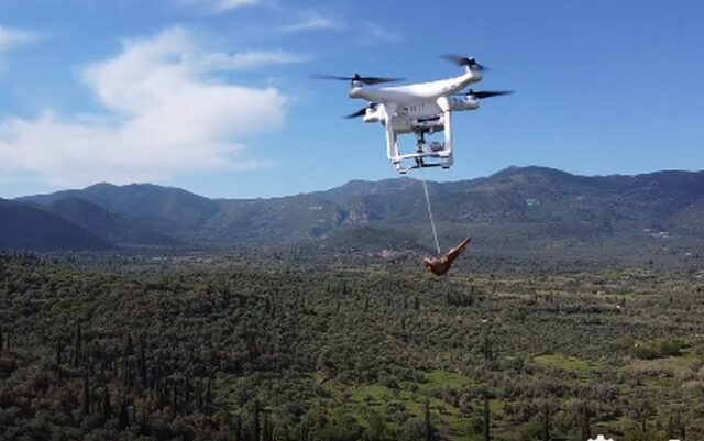 Μεσσηνία: Βρήκε τρόπο να φάει κοψίδια απειλώντας με drone