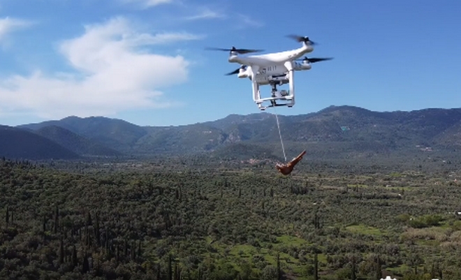 Μεσσηνία: Βρήκε τρόπο να φάει κοψίδια απειλώντας με drone