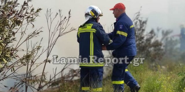 Λαμία: Συναγερμός για φωτιά σε εργοστάσιο ξυλείας