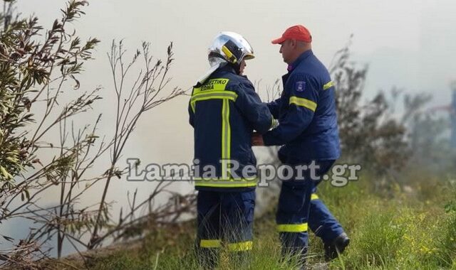 Λαμία: Συναγερμός για φωτιά σε εργοστάσιο ξυλείας