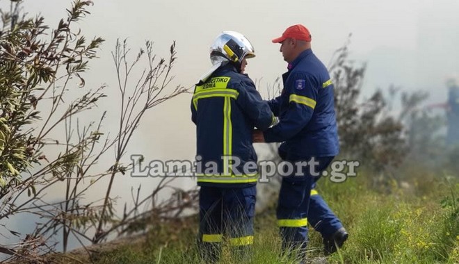 Λαμία: Συναγερμός για φωτιά σε εργοστάσιο ξυλείας