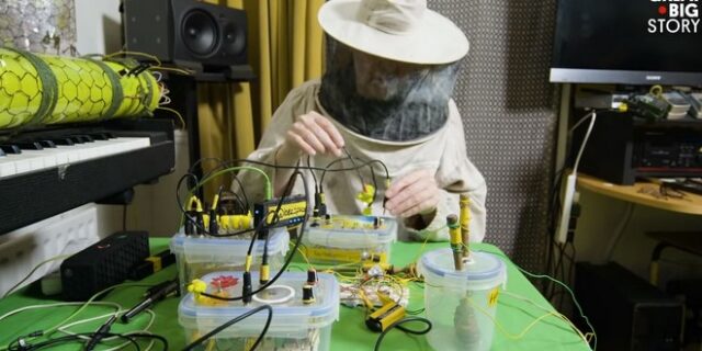 Μελισσοκόμος φτιάχνει ηλεκτρονική μουσική με ήχους από τις κυψέλες του!