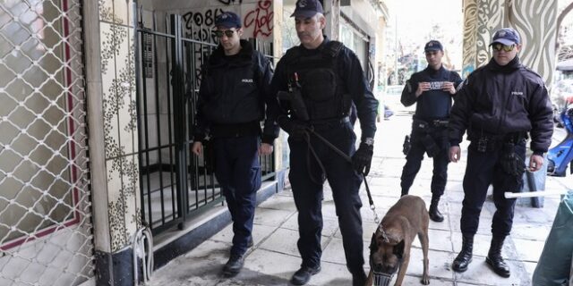 Θεσσαλονίκη: Ειδικά εκπαιδευμένος σκύλος εντόπισε υδροπονική καλλιέργεια κάνναβης
