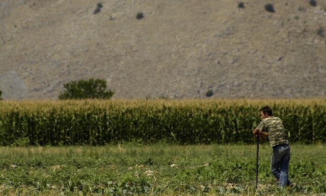 Κορονοϊός – Ευρώπη: Κίνδυνος να σαπίσουν οι σοδειές στα χωράφια