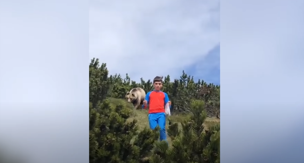 Ιταλία: 12χρονο αγόρι συναντά αρκούδα – Τέρας ψυχραιμίας