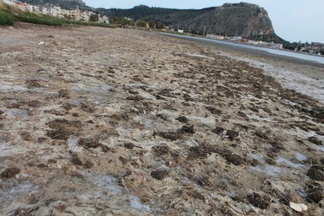 Ναύπλιο: Ο πολιτισμός της νάιλον σακούλας σε παραλία – Εικόνες θλίψης