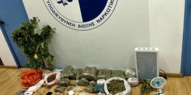 Σύλληψη 37χρονου για καλλιέργεια δενδρυλλίων κάνναβης