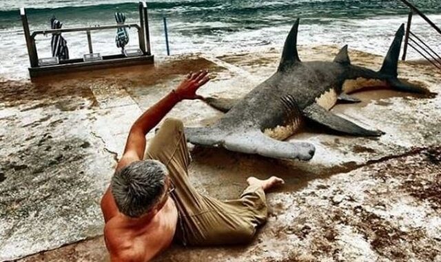 Καλλιτέχνης δίνει “ζωή” στην άμμο: Τα έργα του μοιάζουν με οφθαλμαπάτη