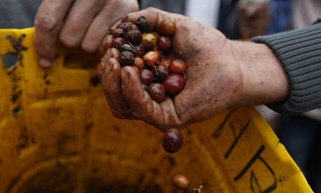 Κολομβία: Ο κορονοϊός θέτει σε κίνδυνο την παραγωγή καφέ