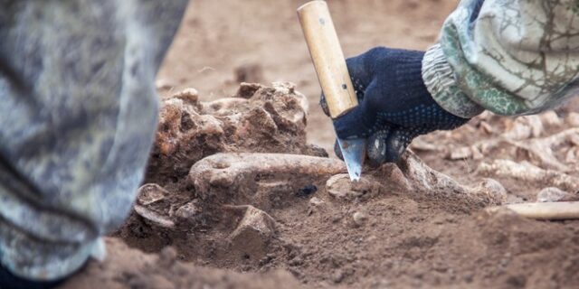 Πελοπόννησος: Εξαρθρώθηκε σπείρα αρχαιοκαπήλων με πλήθος λαθρανασκαφών