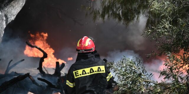 Υπό μερικό έλεγχο η φωτιά στα Μέγαρα