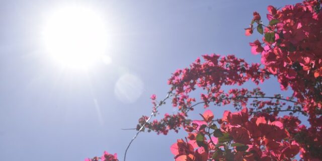 Καιρός – Πάσχα: Μέχρι και 32 βαθμούς την Κυριακή