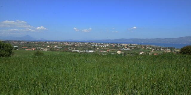 Ξεκινά η μελέτη για τον παραλιακό άξονα που θα ενώσει τους δήμους Μαραθώνα και Ωρωπού