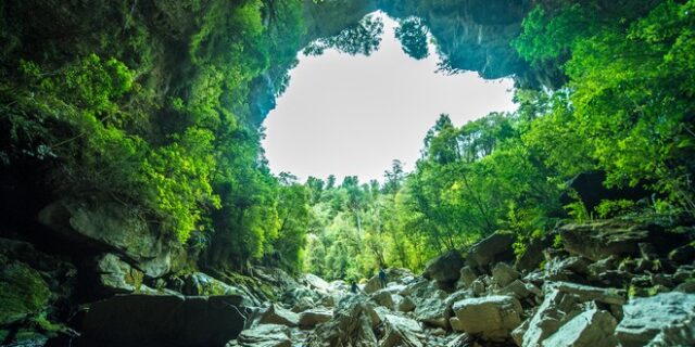 Χάθηκαν στην ομίχλη στο δάσος – Βρέθηκαν ζωντανές 19 μέρες μετά