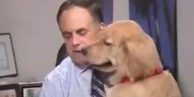 Σκύλου… επιτρέποντος: Μετεωρολόγος δίνει μια ξεκαρδιστική πρόγνωση του καιρού