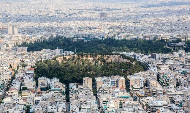 Τραγωδία στον Λόφο του Στρέφη-Έβγαλε τα σκυλάκια της βόλτα και έπεσε στο κενό