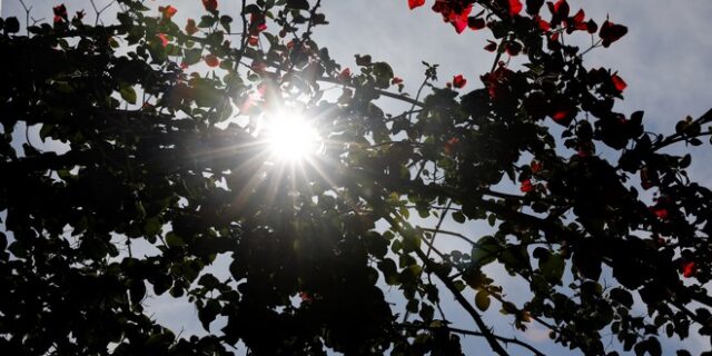 Καιρός: Γενικά αίθριος με νοτιάδες και βαθμιαία άνοδο της θερμοκρασίας