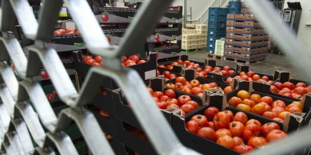 ΕΛΣΤΑΤ: “Άλμα” στις εξαγωγές φρούτων και λαχανικών το πρώτο τρίμηνο του 2020