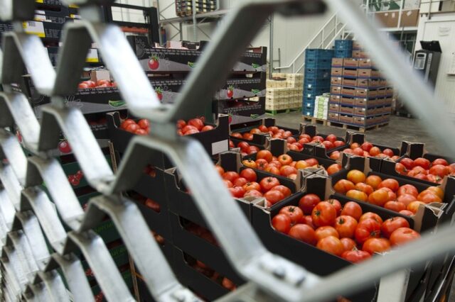 ΕΛΣΤΑΤ: “Άλμα” στις εξαγωγές φρούτων και λαχανικών το πρώτο τρίμηνο του 2020