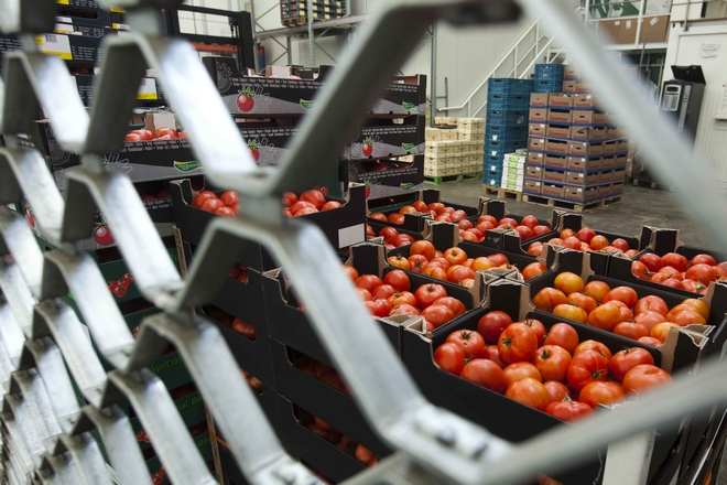 ΕΛΣΤΑΤ: “Άλμα” στις εξαγωγές φρούτων και λαχανικών το πρώτο τρίμηνο του 2020