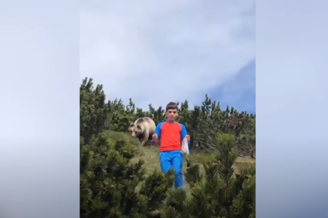 Ιταλία: 12χρονο αγόρι συναντά αρκούδα – Τέρας ψυχραιμίας