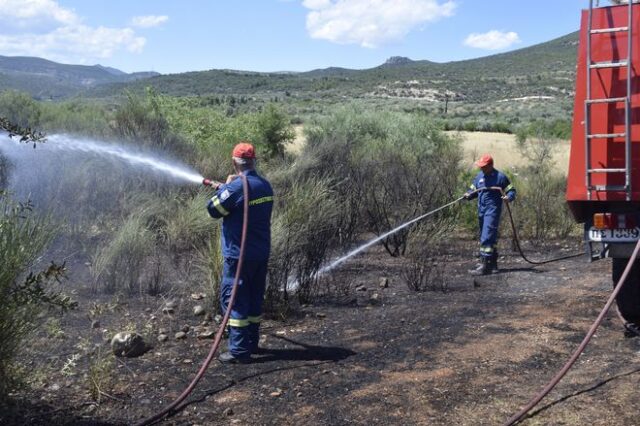 Πυρκαγιά σε δασική έκταση στο Άγιον Όρος