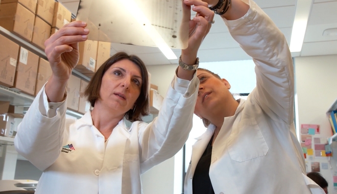 Ελληνίδα επιστήμονας ανοίγει νέο δρόμο για τη θεραπεία της Οξείας Μυελογενούς Λευχαιμίας