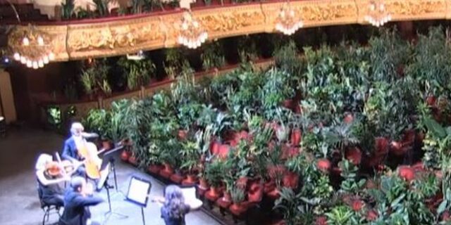 Βαρκελώνη: Συναυλία με “θεατές” 2.292 φυτά!