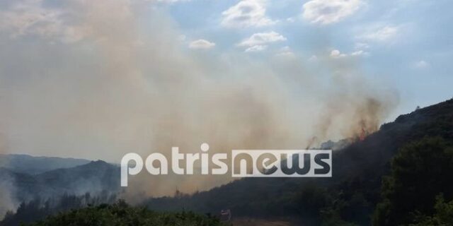 Ηλεία: Πυρκαγιά στο χωριό Σέκουλα – Επιχειρούν ισχυρές πυροσβεστικές δυνάμεις