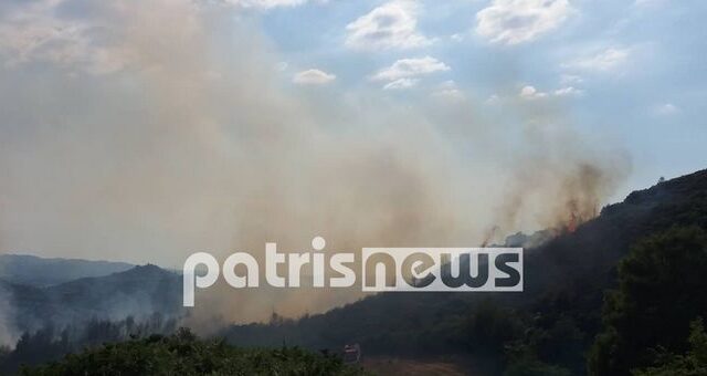 Ηλεία: Πυρκαγιά στο χωριό Σέκουλα – Επιχειρούν ισχυρές πυροσβεστικές δυνάμεις