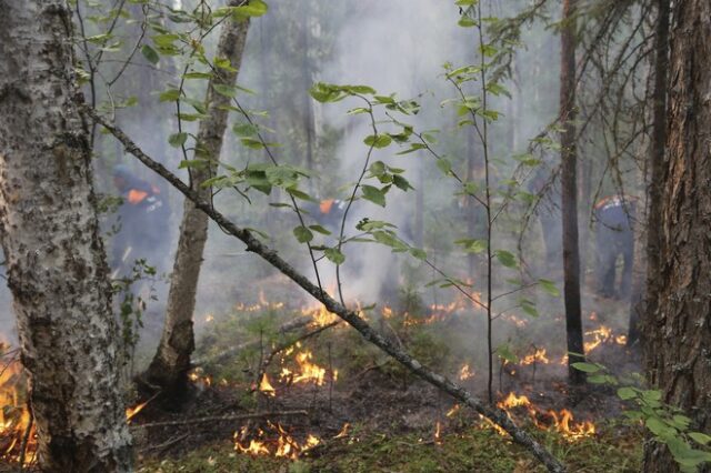 Κλιματική αλλαγή: Πυρκαγιές, βροχοπτώσεις και έντομα – Οι νέες πληγές της Σιβηρίας