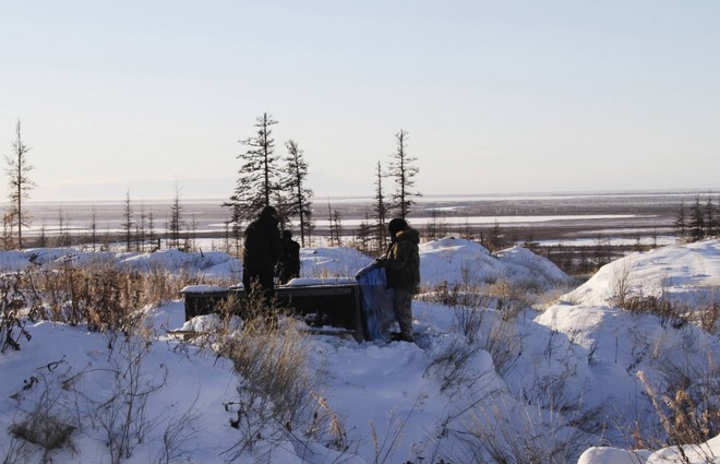 Θερμοκρασία ρεκόρ στη Σιβηρία – Έφτασε τους 38 βαθμούς