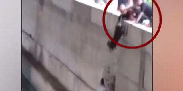 Κηφισός: Πυροσβέστες έσωσαν σκυλάκι από το ποτάμι