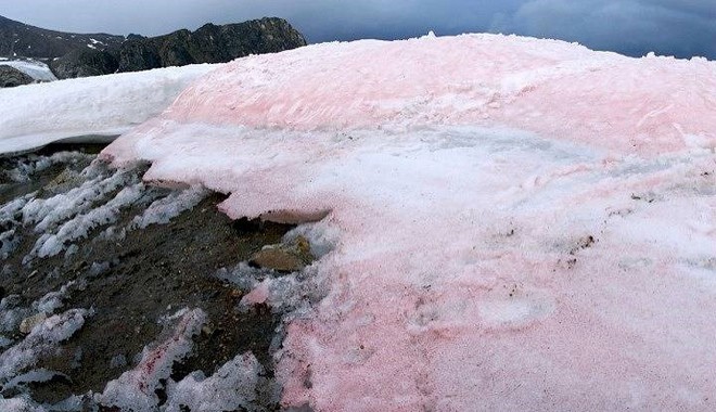 Ροζ πάγος στα Αλπικά τοπία  –Ένα φυσικό φαινόμενο που κατέγραψε πρώτος ο Αριστοτέλης