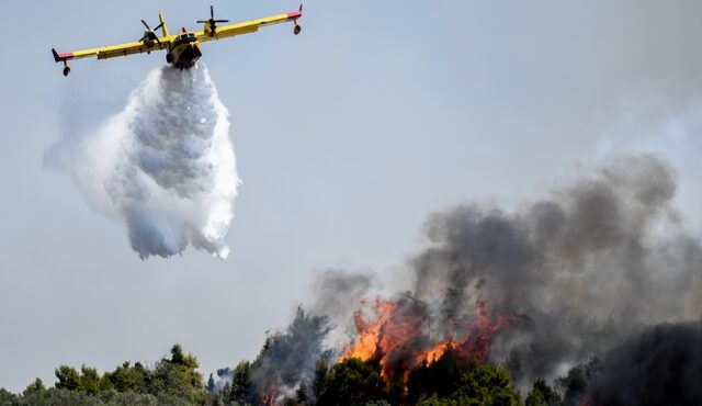 Φωτιά στην Κορινθία: Μάχη με τις φλόγες – Εκκενώθηκε ο οικισμός Ντράσσα