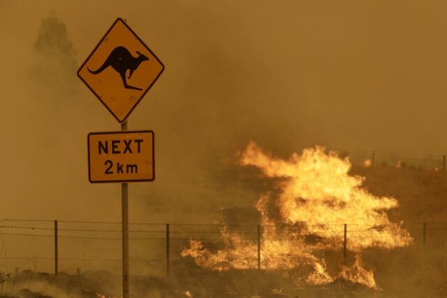 Αυστραλία: Τρία δισεκατομμύρια ζώα κάηκαν στις φωτιές ή εκτοπίστηκαν